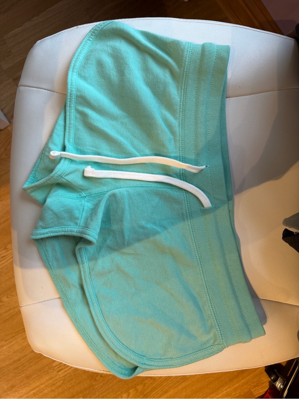 BNWT Brandy Melville Marcie Shorts in Seafoam Teal
